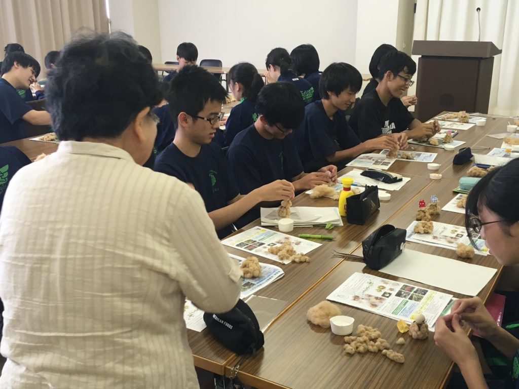 コットンベイブを作る高校生たち