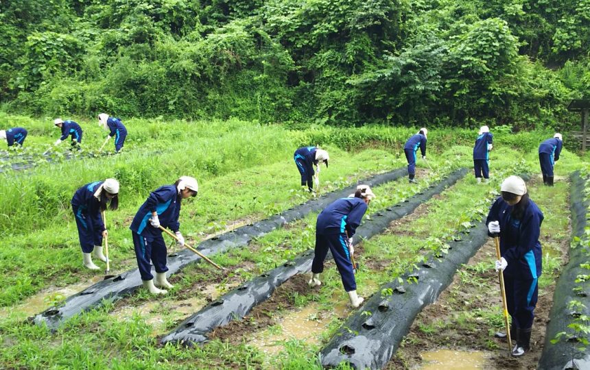 耕地の除草をする高校生たち