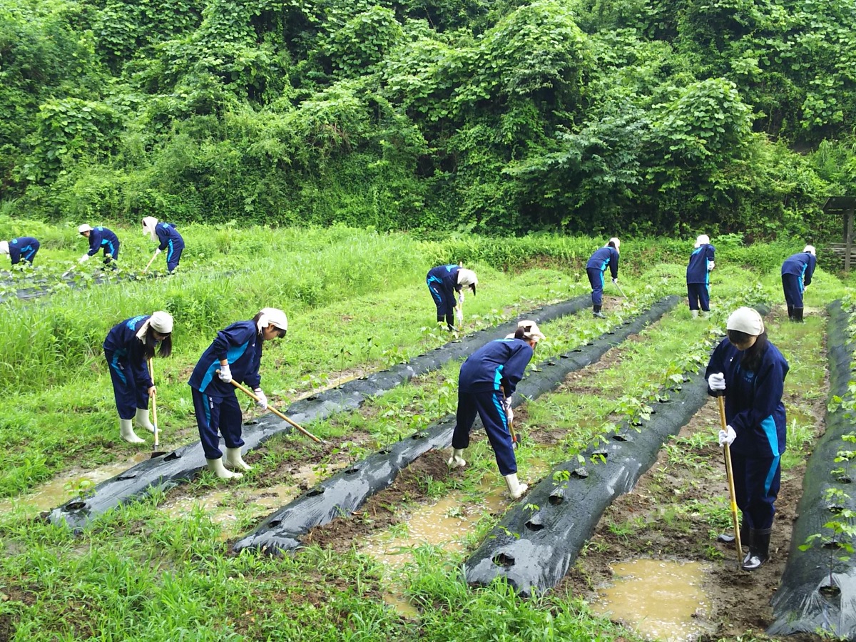耕地の除草をする高校生たち