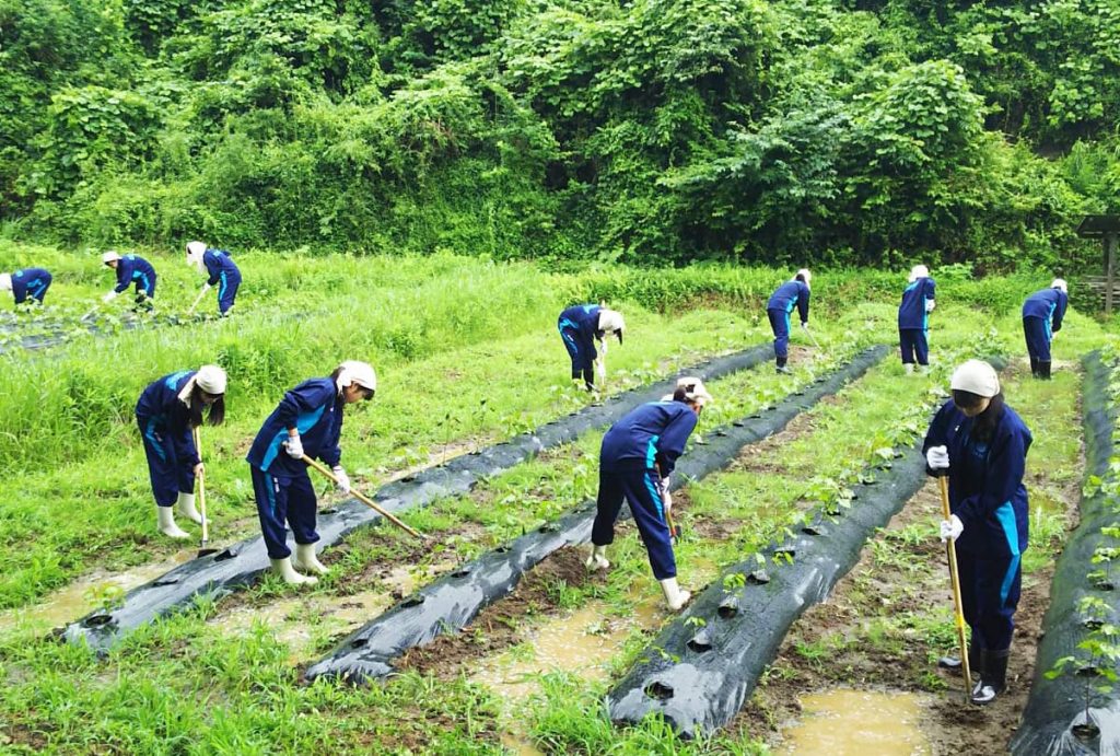 農業体験をする高校生たち